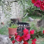 Natasa And Spiros Apartament *