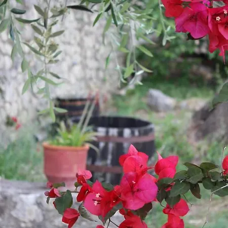νατάσα και σπύρος Διαμέρισμα *